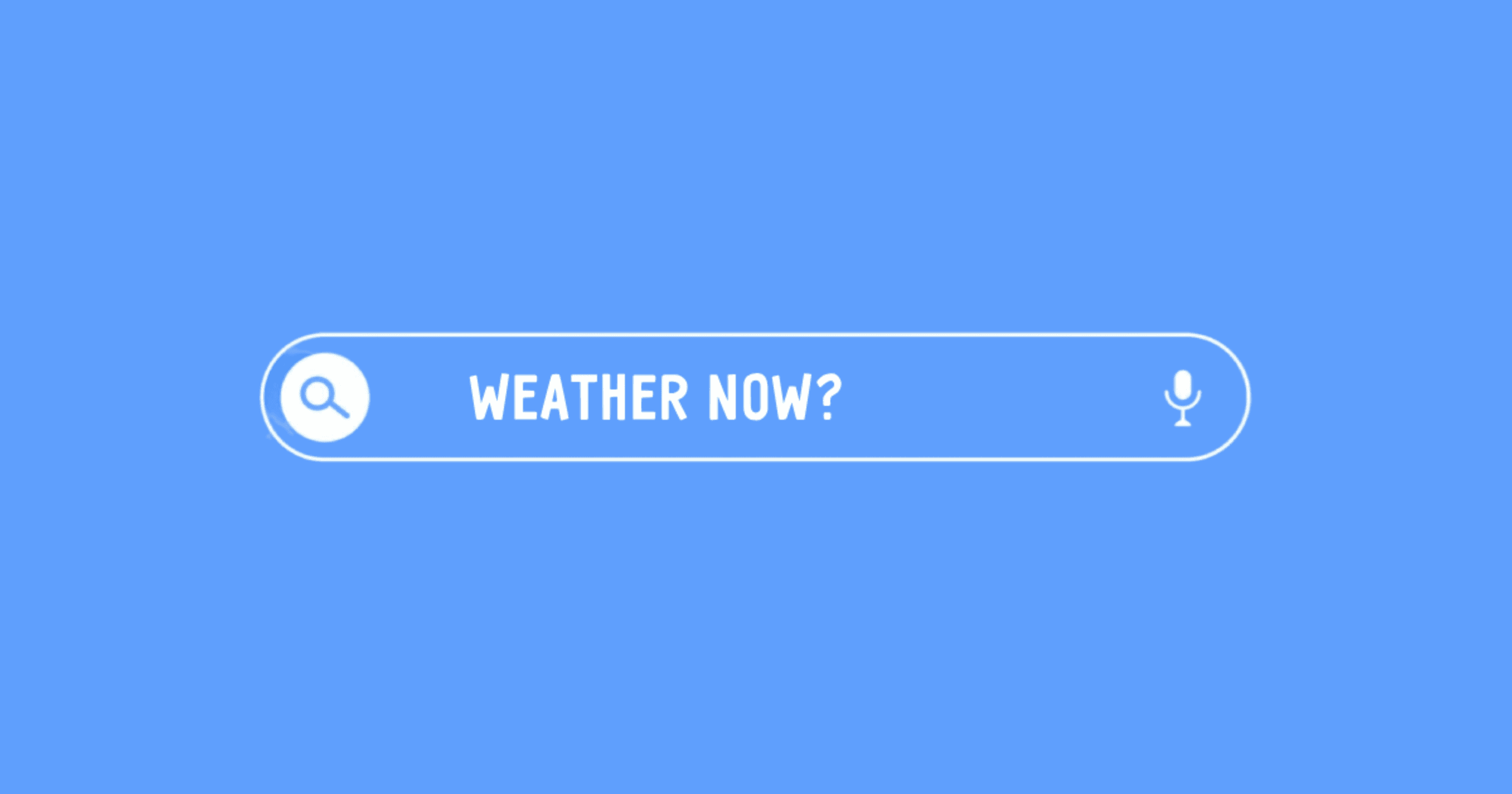 What Really Happens When You Open a Website?