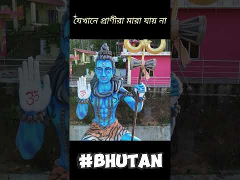যেখানে প্রাণীরা মারা যায় না